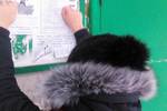 Представители Содружества «Я-МАЛ» (Ноябрьск) провели ежегодную природоохранную акцию «Новый год без топора»