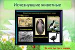 Акция «Черная книга природы» Содружества детских объединений «Я-МАЛ» (Ноябрьск)