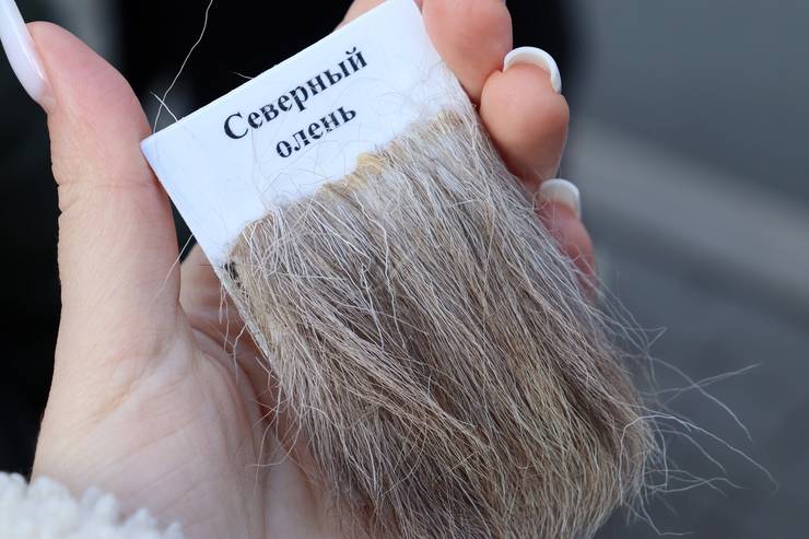 --yep1bctl6iigxdi8reiqkgl9sbwkl0gfnwd40pnd6v2ufaec2pgpcrh9b5ohfqiki8fjln2iqdoubsavoixk-r.jpg --yep1bctl6iigxdi8reiqkgl9sbwkl0gfnwd40pnd6v2ufaec2pgpcrh9b5ohfqiki8fjln2iqdoubsavoixk-r.jpg