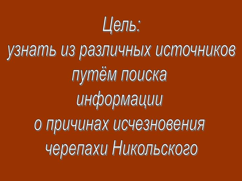 0009.jpg