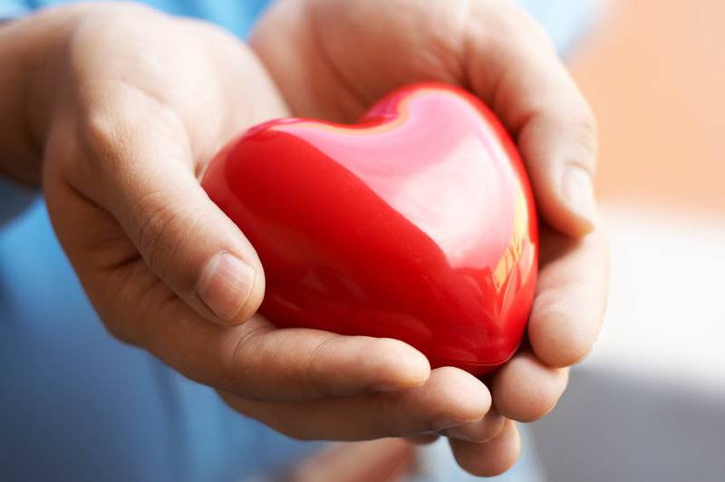 1349850295-heartinhands.jpg