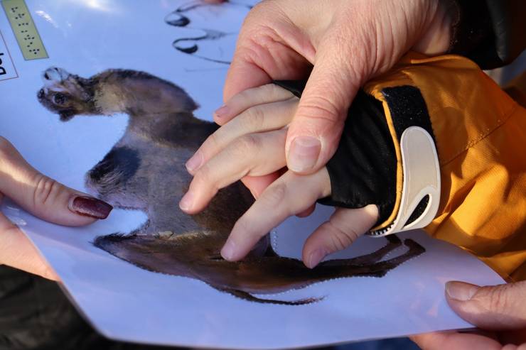 1hy4agekze9pzdhfcgyvnqqtnn921pekmygaencncjrweyka5eeypelw5d-jzuuzoj1acyum6ca4n-mwuurchydu.jpg 1hy4agekze9pzdhfcgyvnqqtnn921pekmygaencncjrweyka5eeypelw5d-jzuuzoj1acyum6ca4n-mwuurchydu.jpg