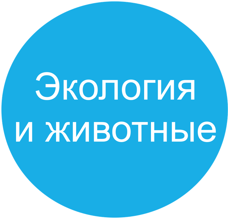 bank-idej3-24ab.png