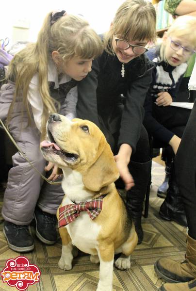 dogs4.jpg