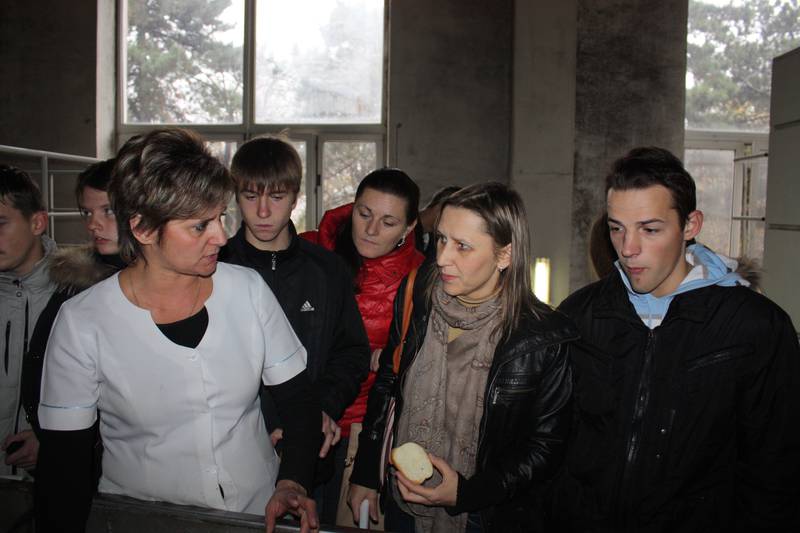 excursion-3.jpg