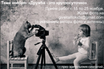 Победители ноябрьского ФОТОКВЕСТА