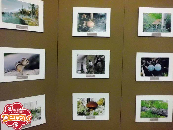 fotovistavka2.jpg