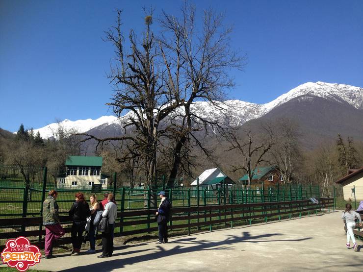 img-1764.jpg