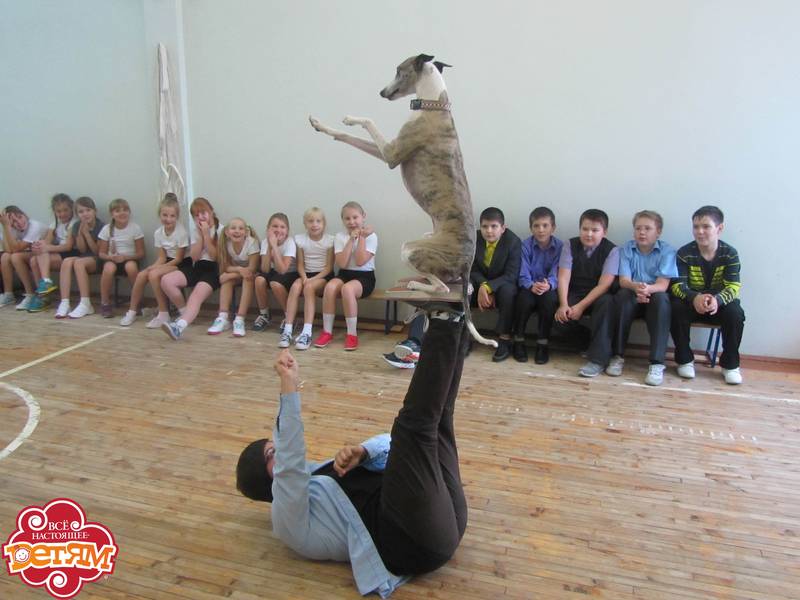 img-5429.jpg