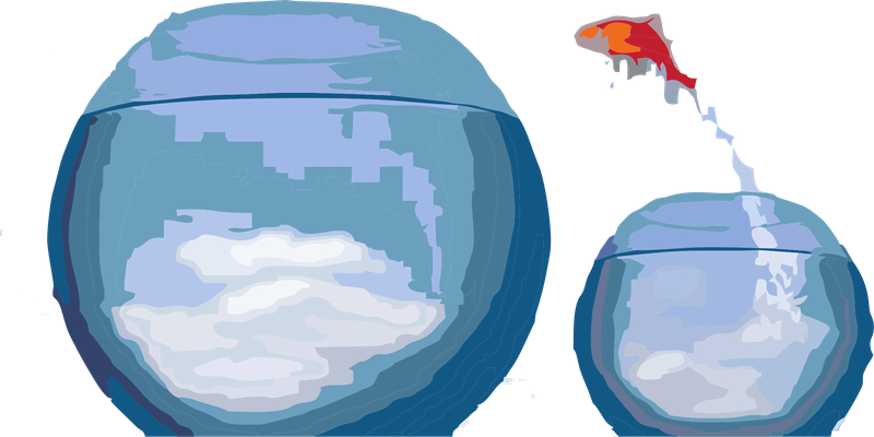 logofish2.png