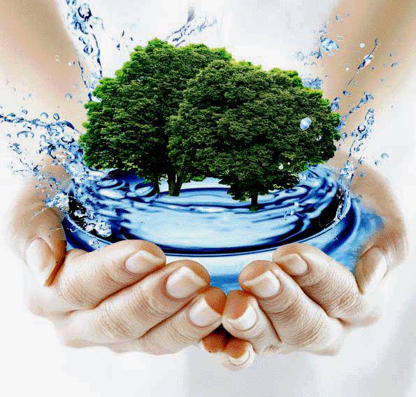 nature.jpg