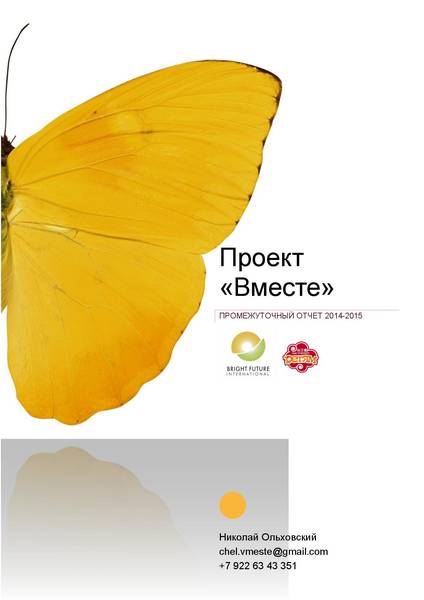 otchet-o-sajte-vmeste-page-001-cb62.jpg