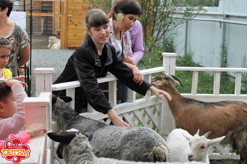 strauszoo4.jpg