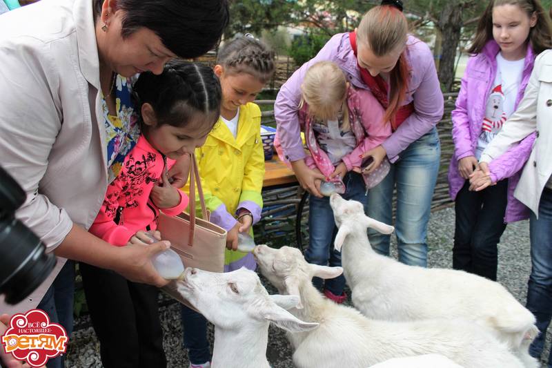 strauszoo6.jpg