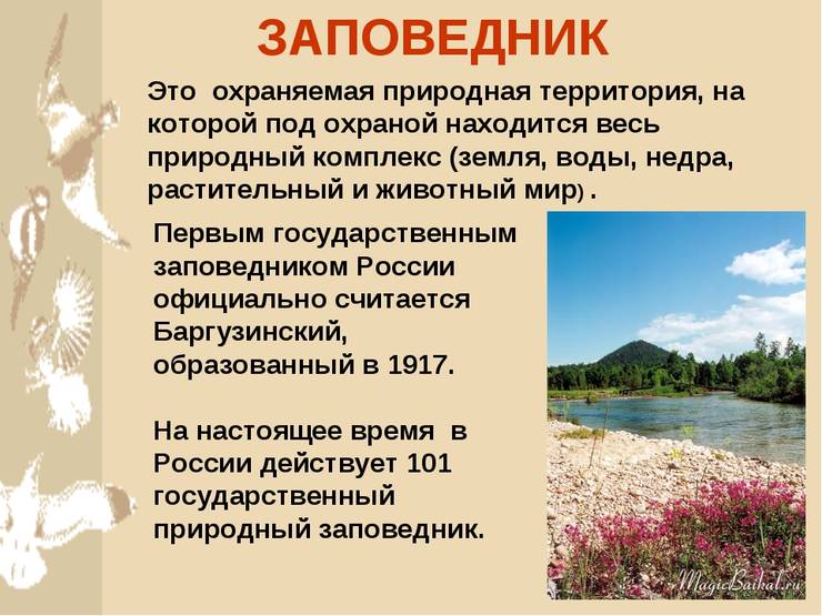 zapovednik4.jpg