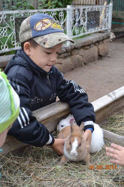 zoo4.jpg